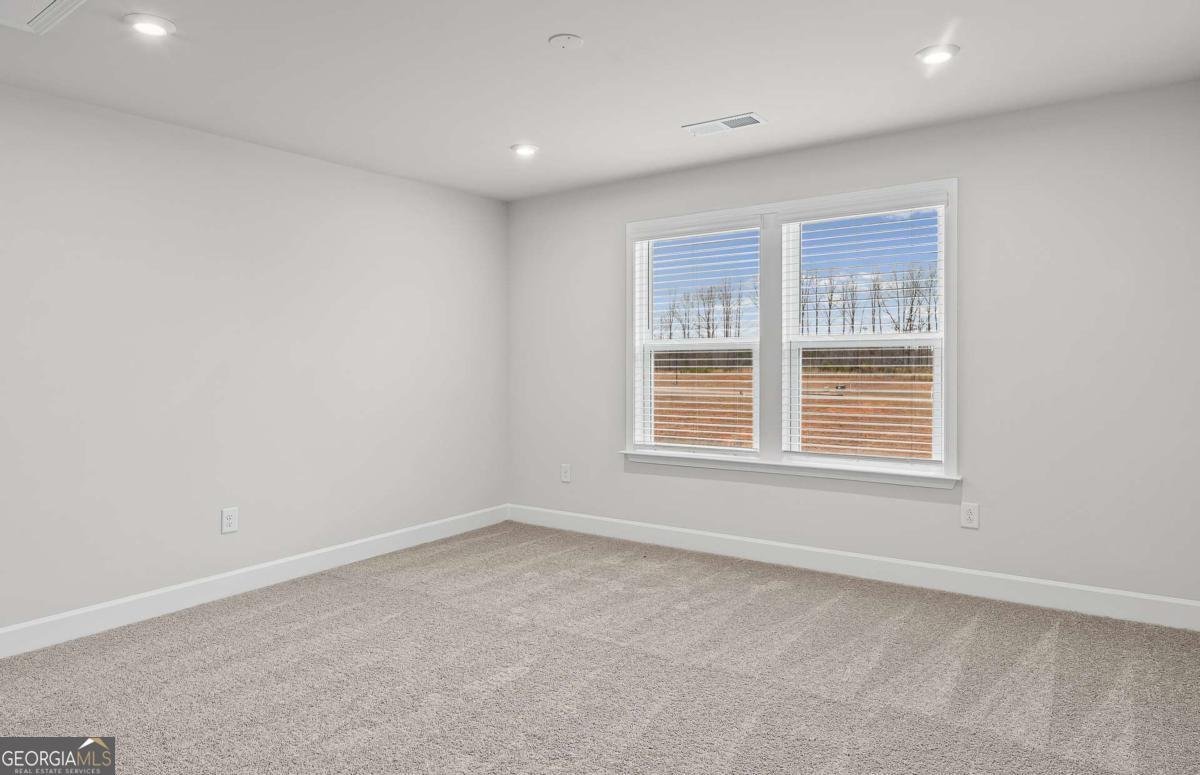 384 Capri Court Mcdonough - Photo 11