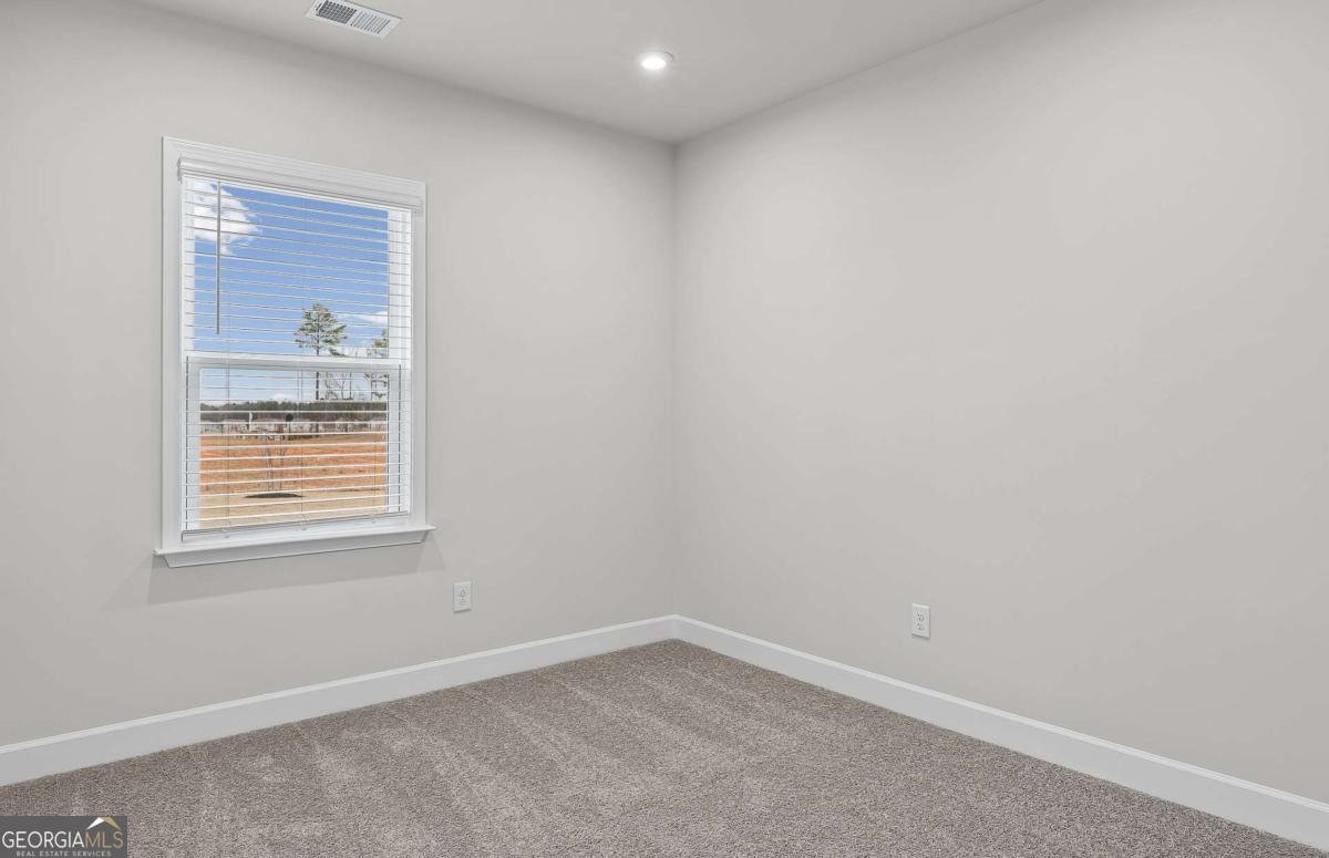 384 Capri Court Mcdonough - Photo 9