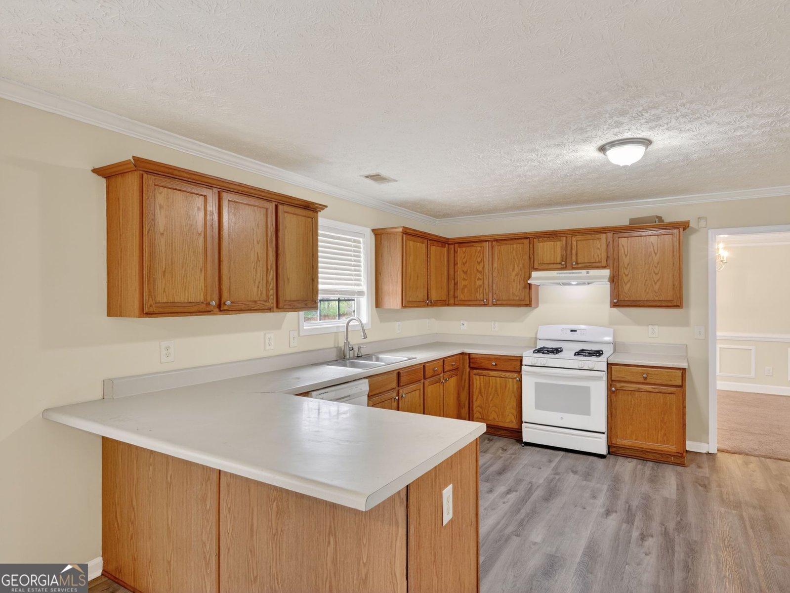 4460 Abram Way Conley - Photo 10