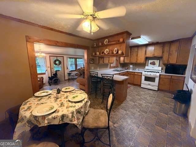 1262 Robinwood Lane Elberton - Photo 8