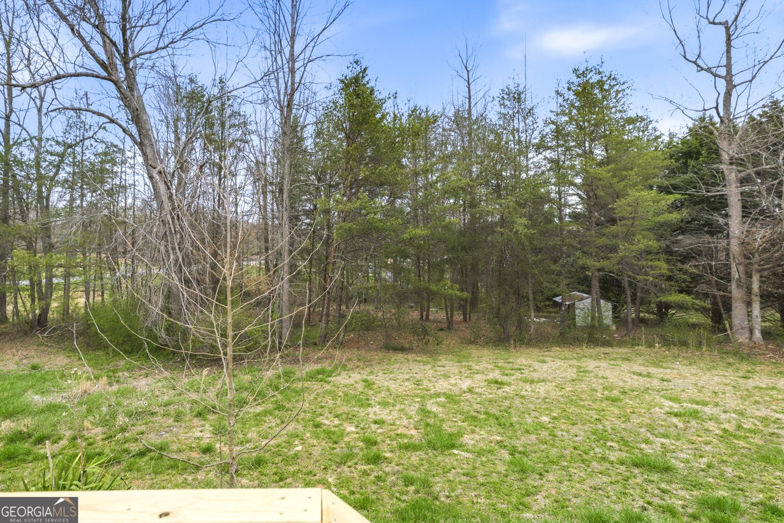 221 Friar Tuck Trail Murrayville - Photo 30