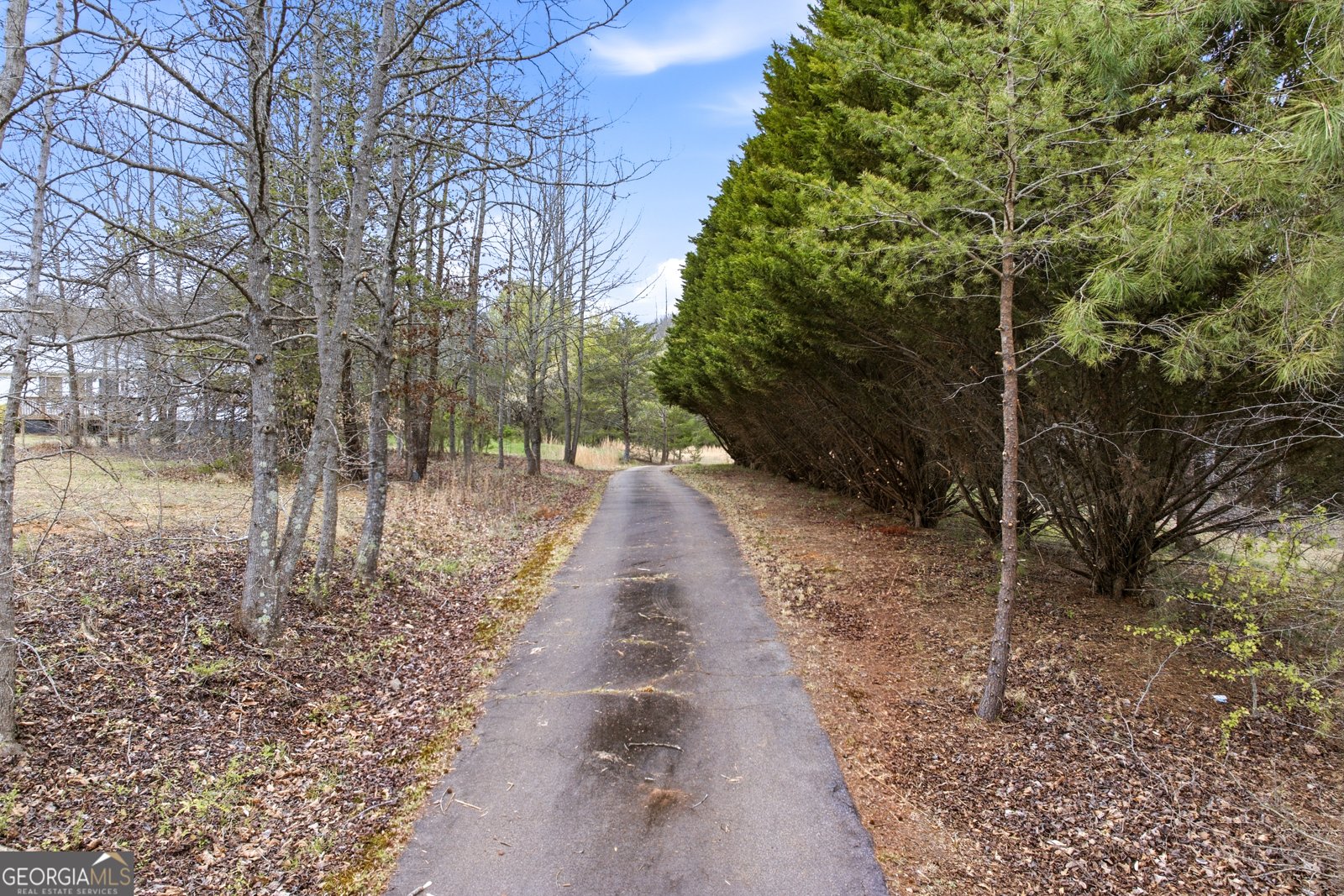 221 Friar Tuck Trail Murrayville - Photo 32