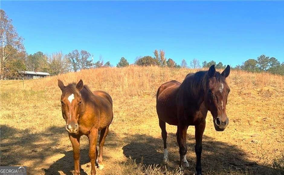 715 Cochran Road Ranger - Photo 42