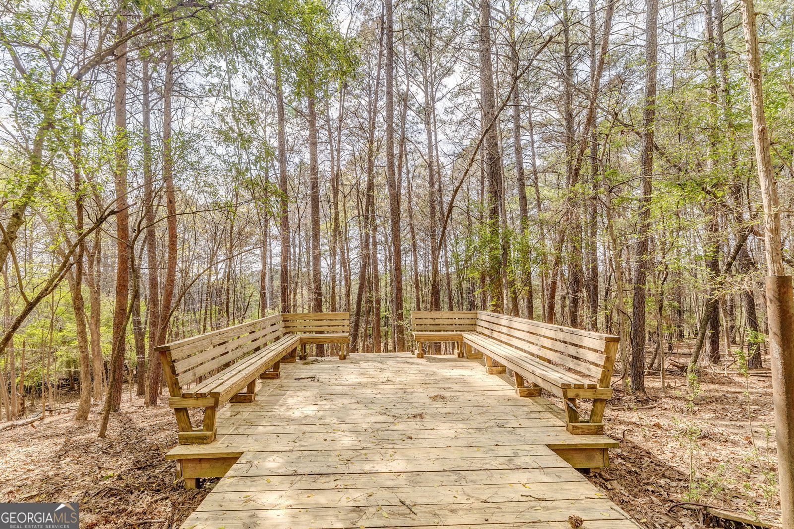 35 The Trail Lindale - Photo 52