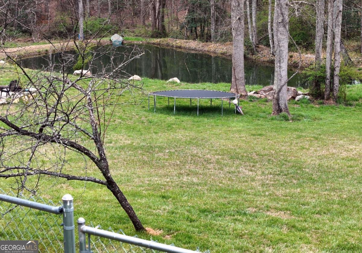 138 Paradise Lane Blairsville - Photo 23