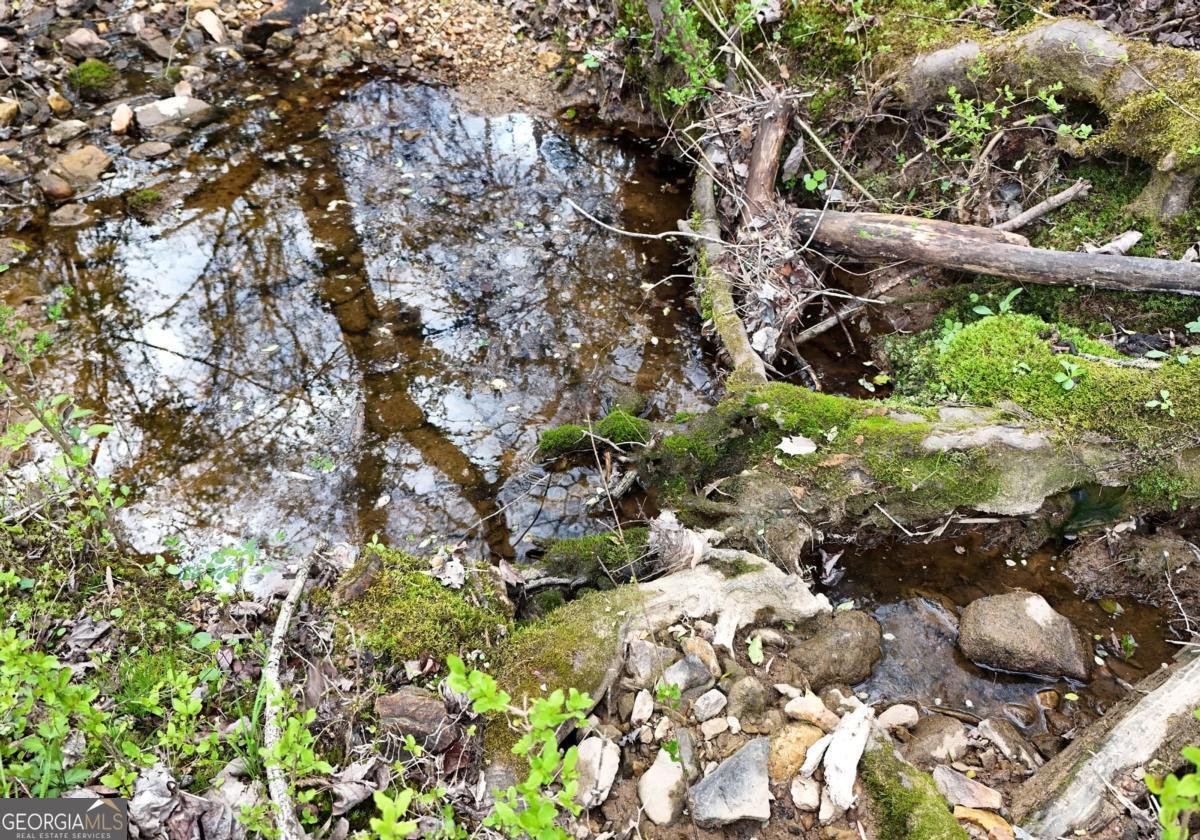 138 Paradise Lane Blairsville - Photo 27