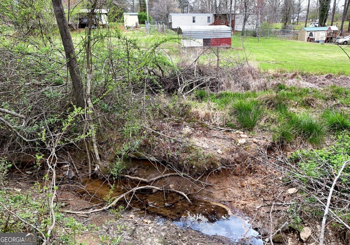 138 Paradise Lane Blairsville - Photo 28