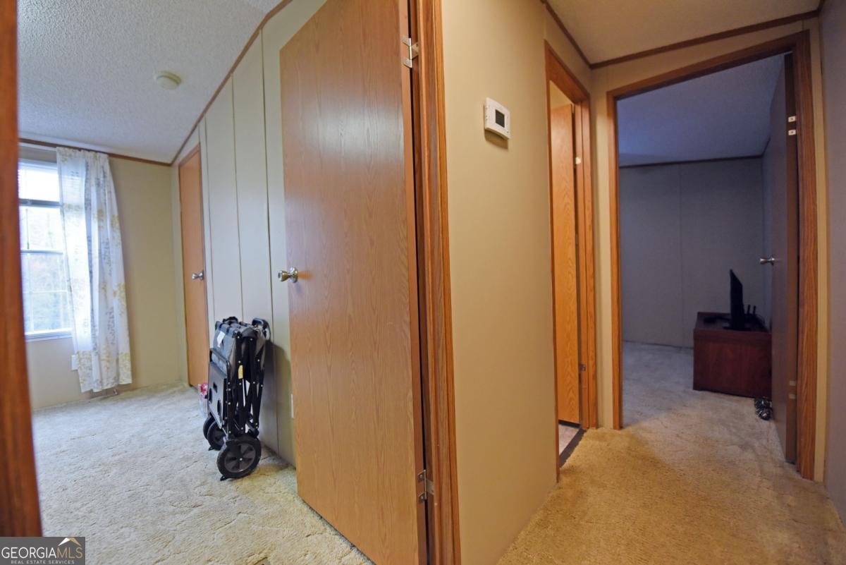 138 Paradise Lane Blairsville - Photo 45