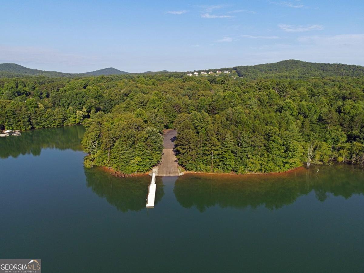 138 Paradise Lane Blairsville - Photo 54