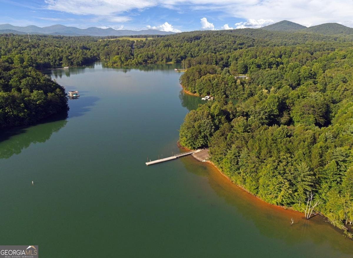 138 Paradise Lane Blairsville - Photo 55