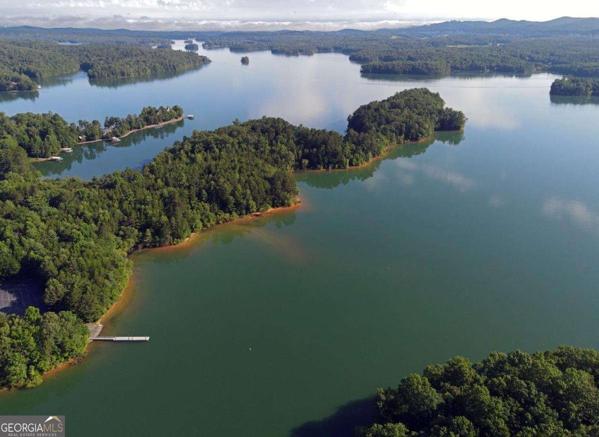 138 Paradise Lane Blairsville - Photo 56