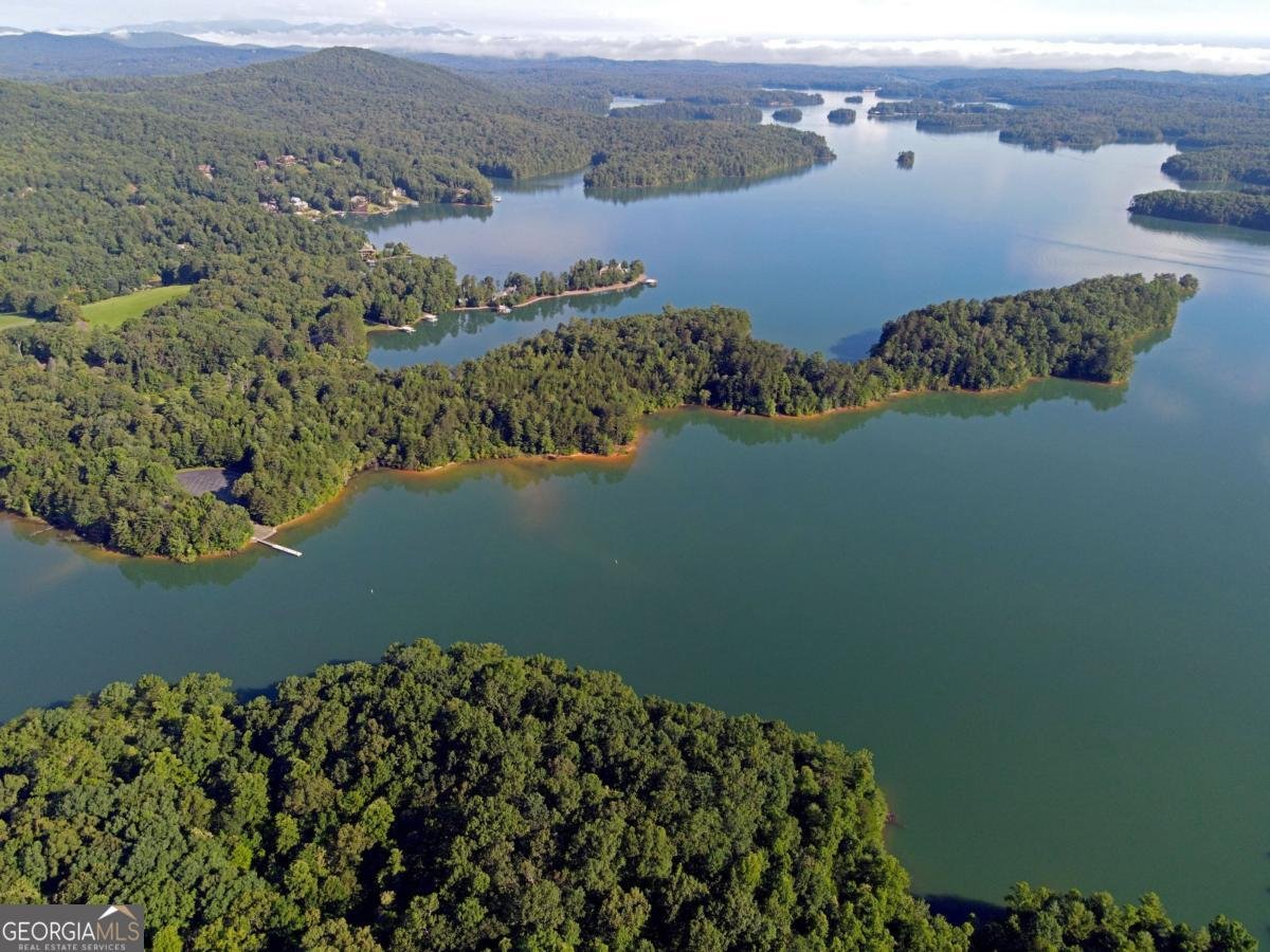 138 Paradise Lane Blairsville - Photo 57