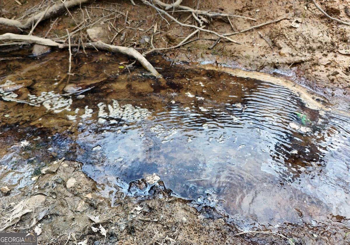 138 Paradise Lane Blairsville - Photo 6