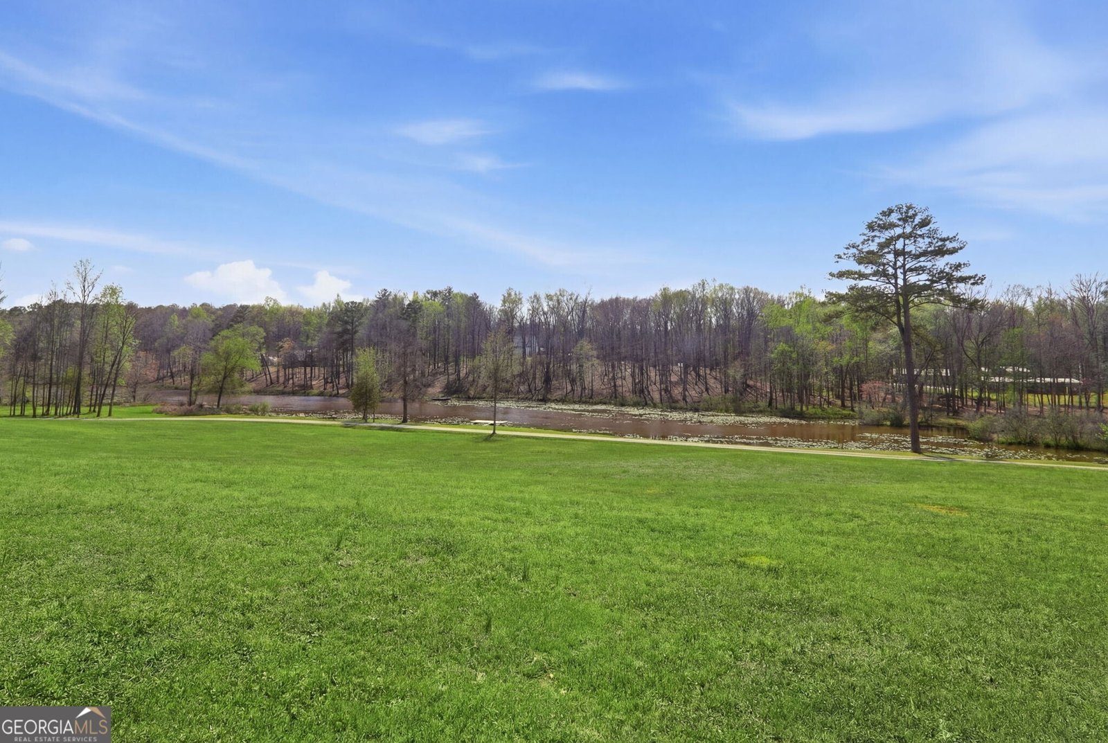 1505 Elders Mill Road Senoia - Photo 124