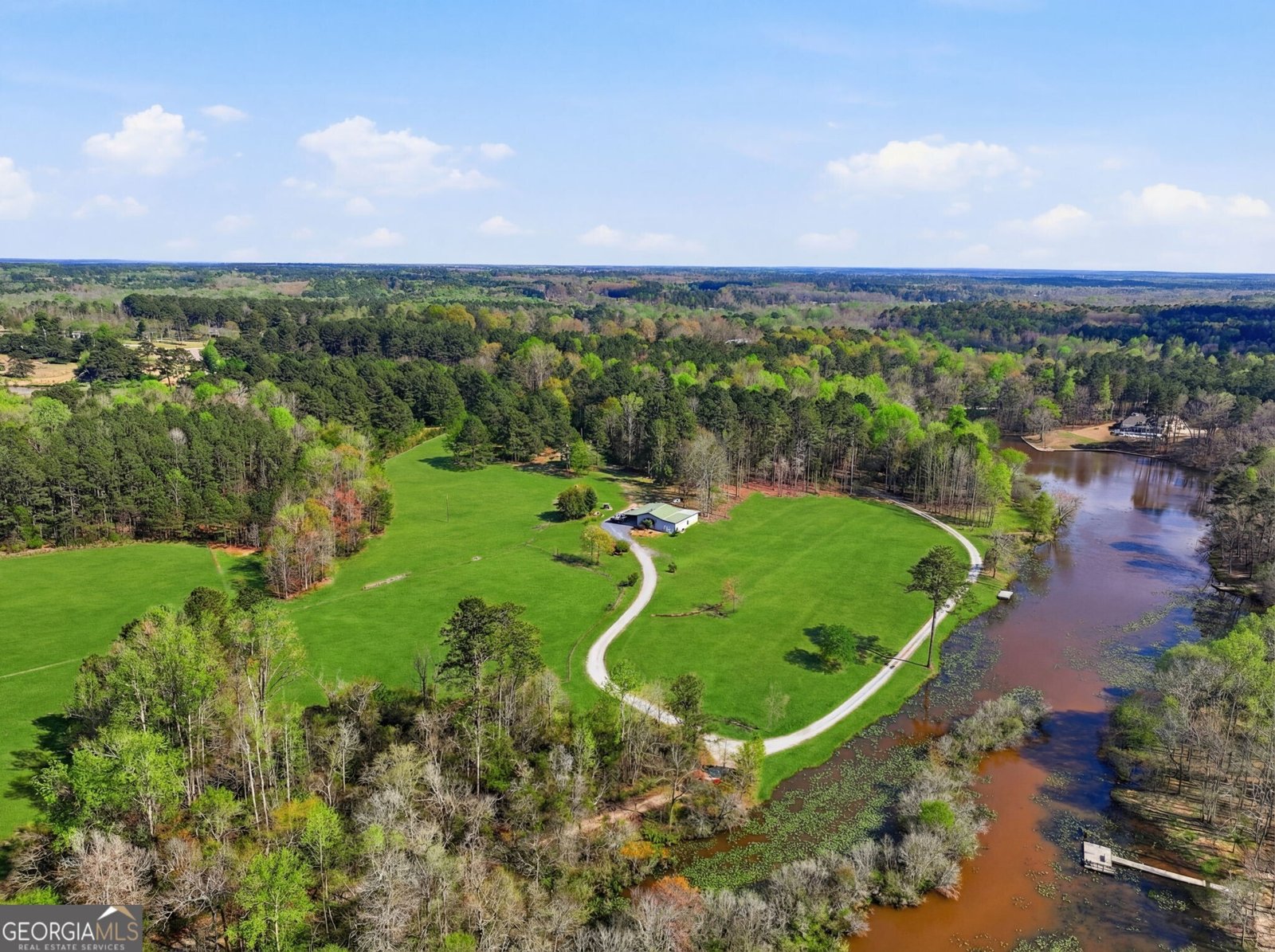 1505 Elders Mill Road Senoia - Photo 128