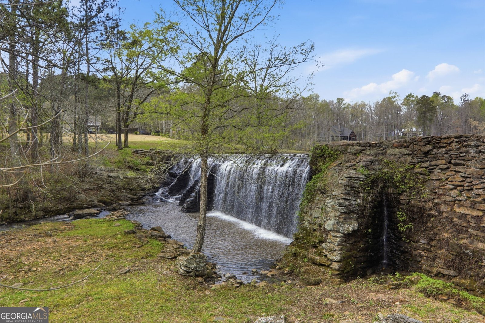 1505 Elders Mill Road Senoia - Photo 13