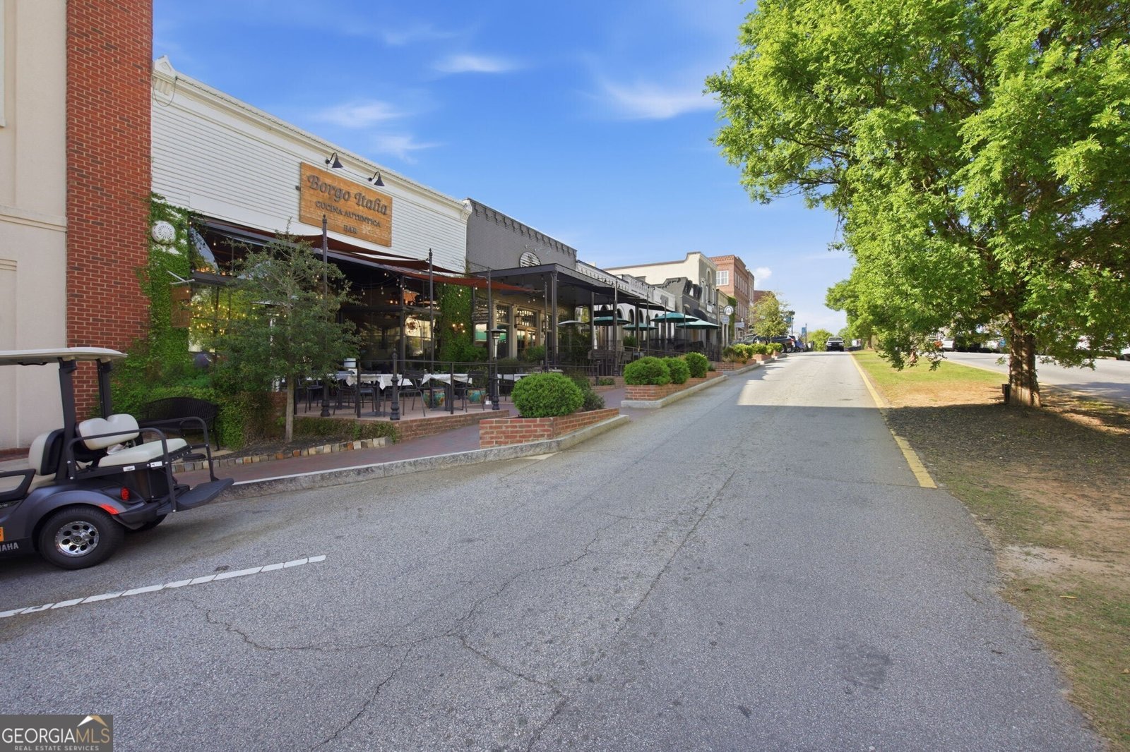 1505 Elders Mill Road Senoia - Photo 143