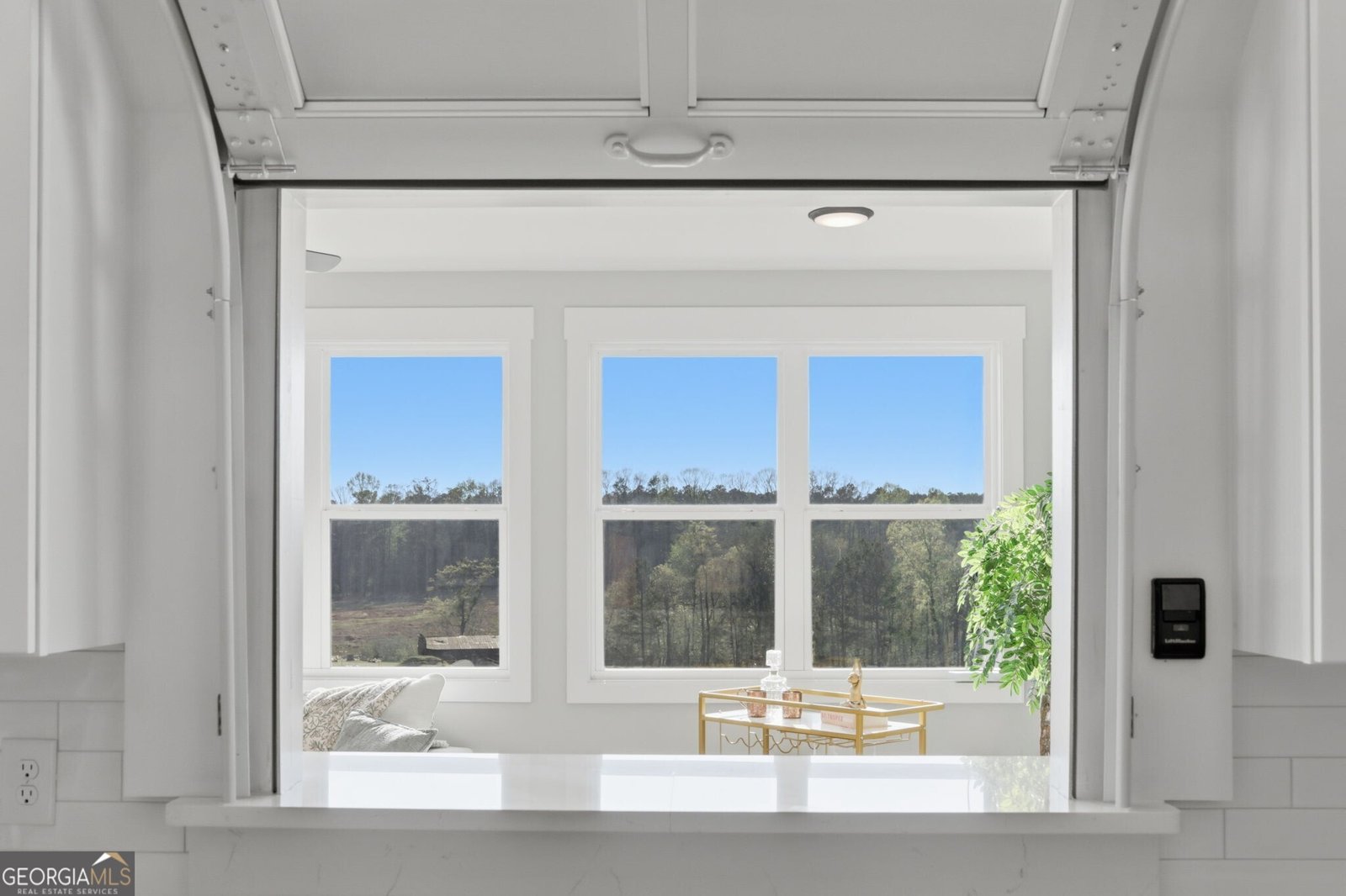 1505 Elders Mill Road Senoia - Photo 37