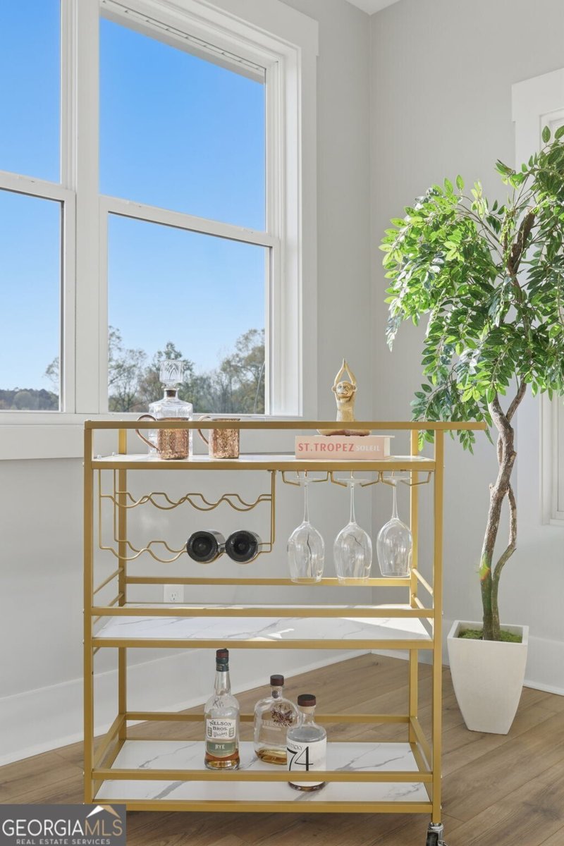 1505 Elders Mill Road Senoia - Photo 51