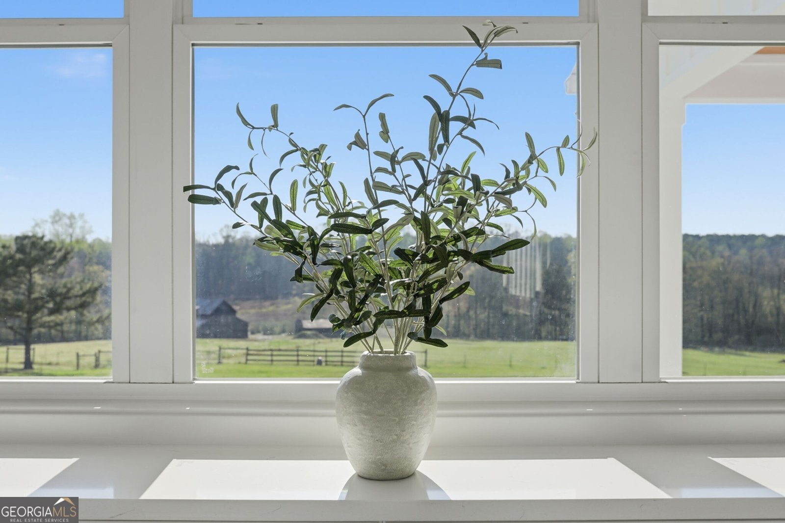 1505 Elders Mill Road Senoia - Photo 68