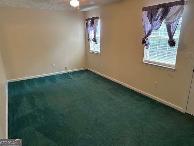 620 Grove Pointe Way Locust Grove - Photo 49