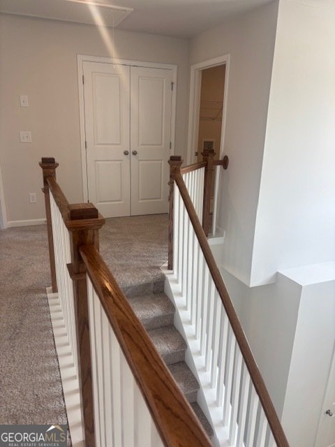 232 Hampton Hollow Drive Jefferson - Photo 17