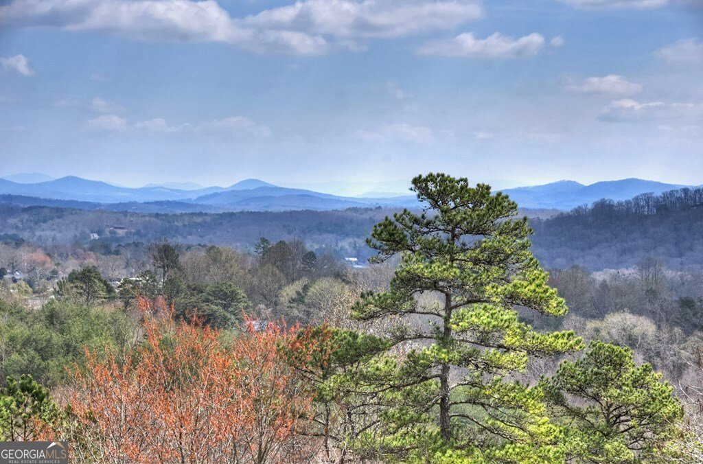 222 Mountain Hideaway Lane Blue Ridge - Photo 18