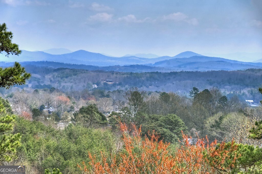 222 Mountain Hideaway Lane Blue Ridge - Photo 33