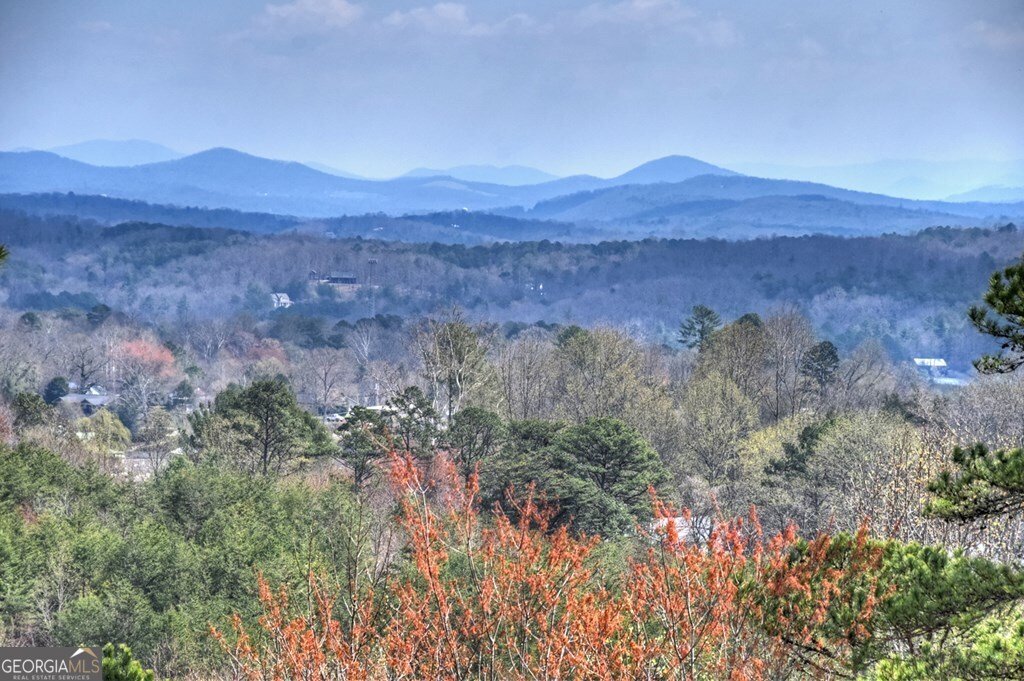 222 Mountain Hideaway Lane Blue Ridge - Photo 34