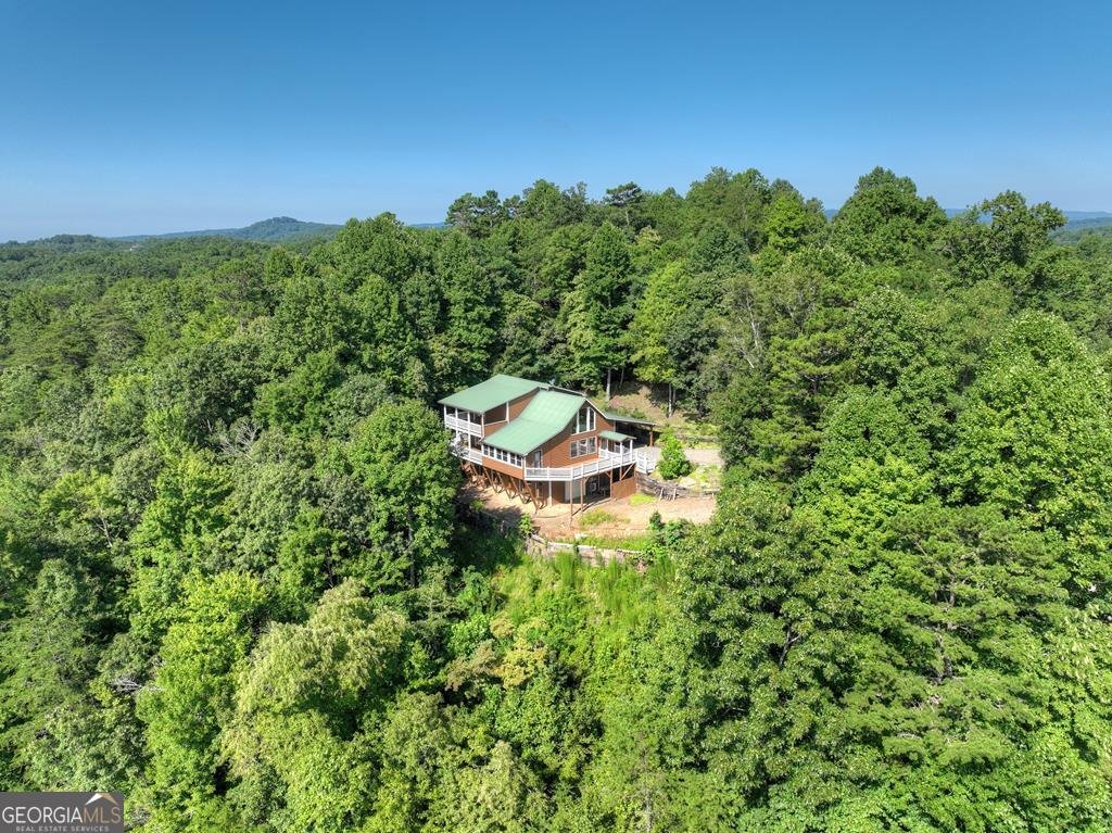 222 Mountain Hideaway Lane Blue Ridge - Photo 41