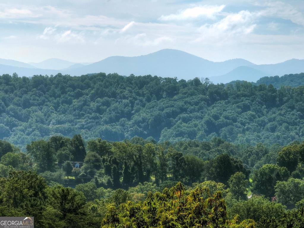 222 Mountain Hideaway Lane Blue Ridge - Photo 50