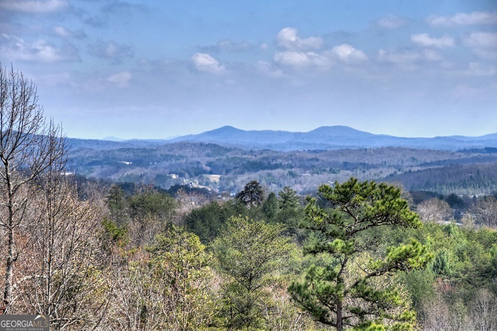 222 Mountain Hideaway Lane Blue Ridge - Photo 52