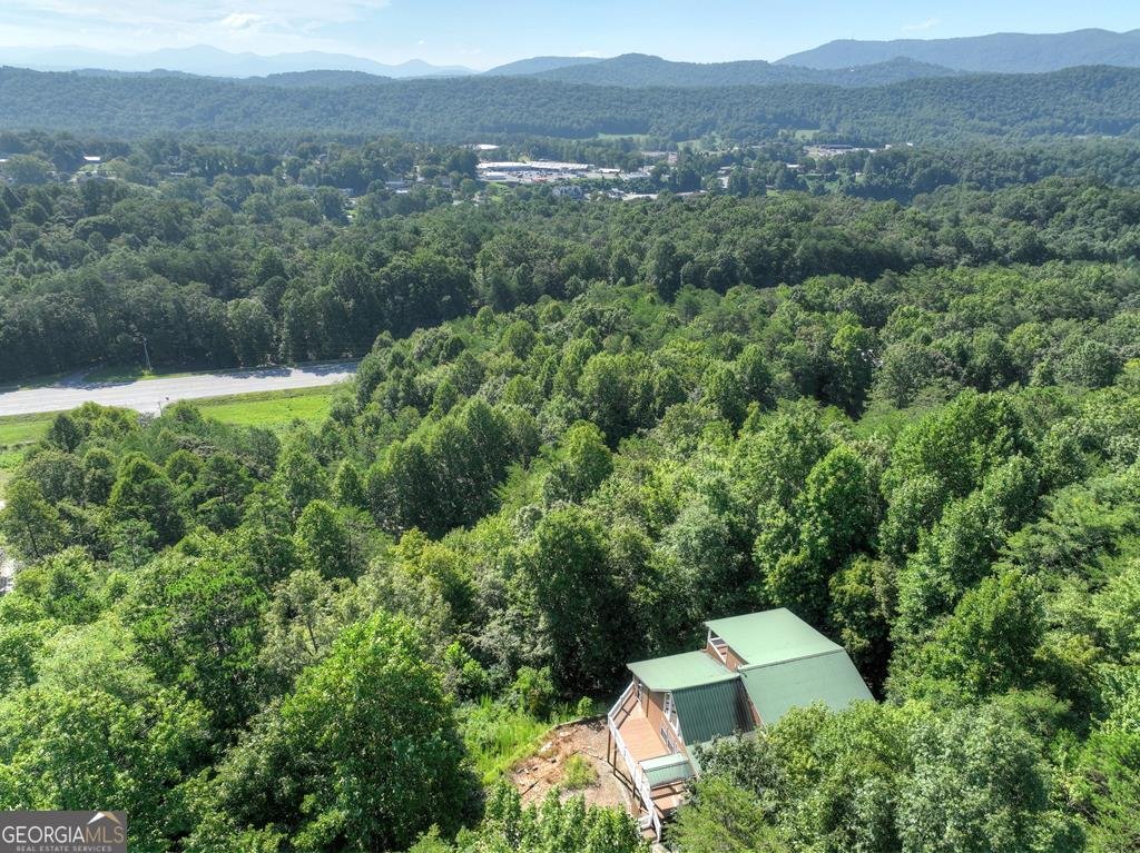 222 Mountain Hideaway Lane Blue Ridge - Photo 54