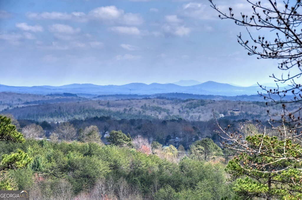 222 Mountain Hideaway Lane Blue Ridge - Photo 55