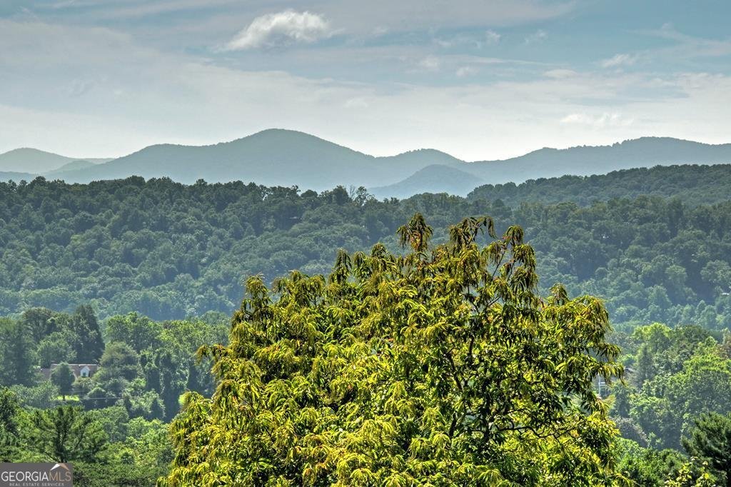 222 Mountain Hideaway Lane Blue Ridge - Photo 6