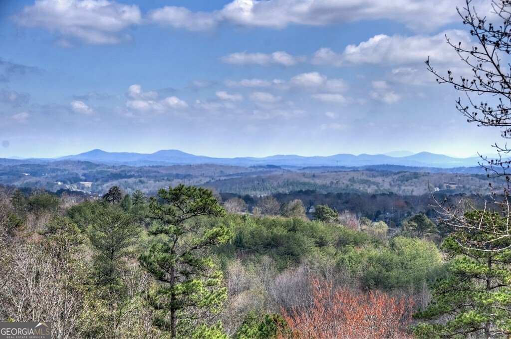 222 Mountain Hideaway Lane Blue Ridge - Photo 62