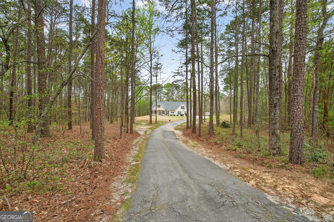 3121 Boulderview Drive Conyers - Photo 60