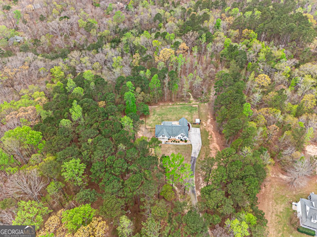 3121 Boulderview Drive Conyers - Photo 66