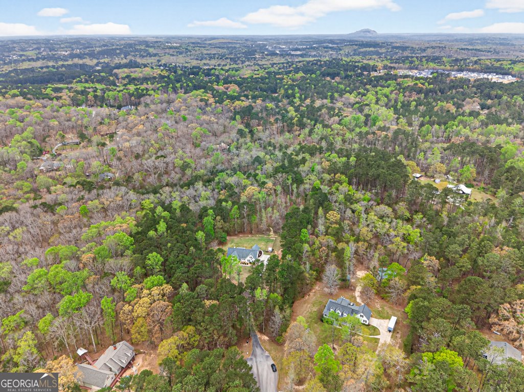 3121 Boulderview Drive Conyers - Photo 68