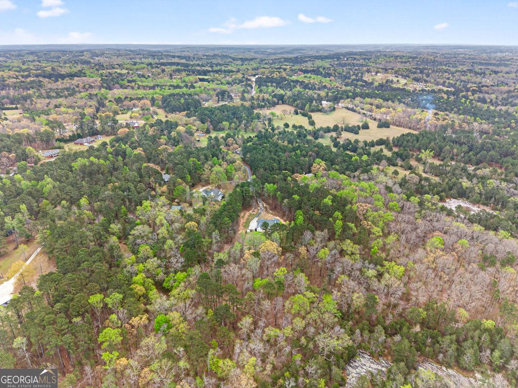 3121 Boulderview Drive Conyers - Photo 70