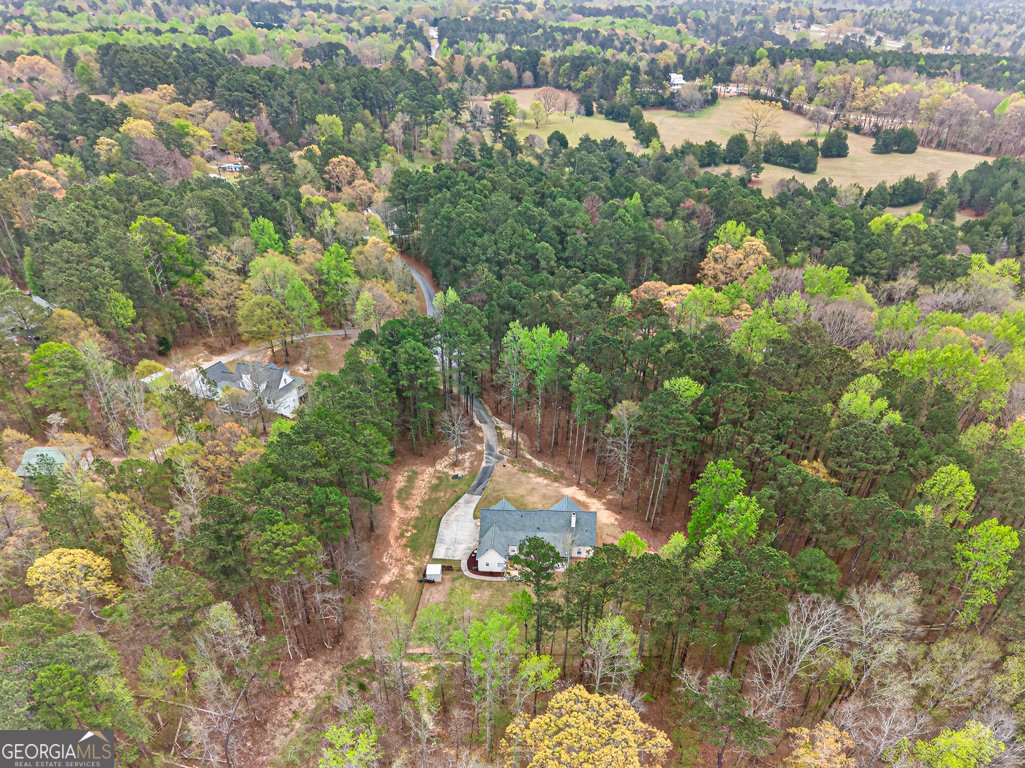 3121 Boulderview Drive Conyers - Photo 71