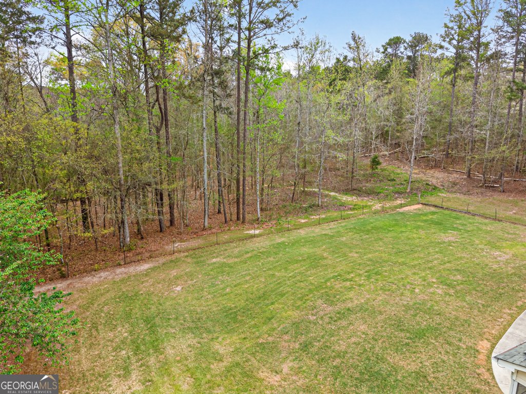 3121 Boulderview Drive Conyers - Photo 73