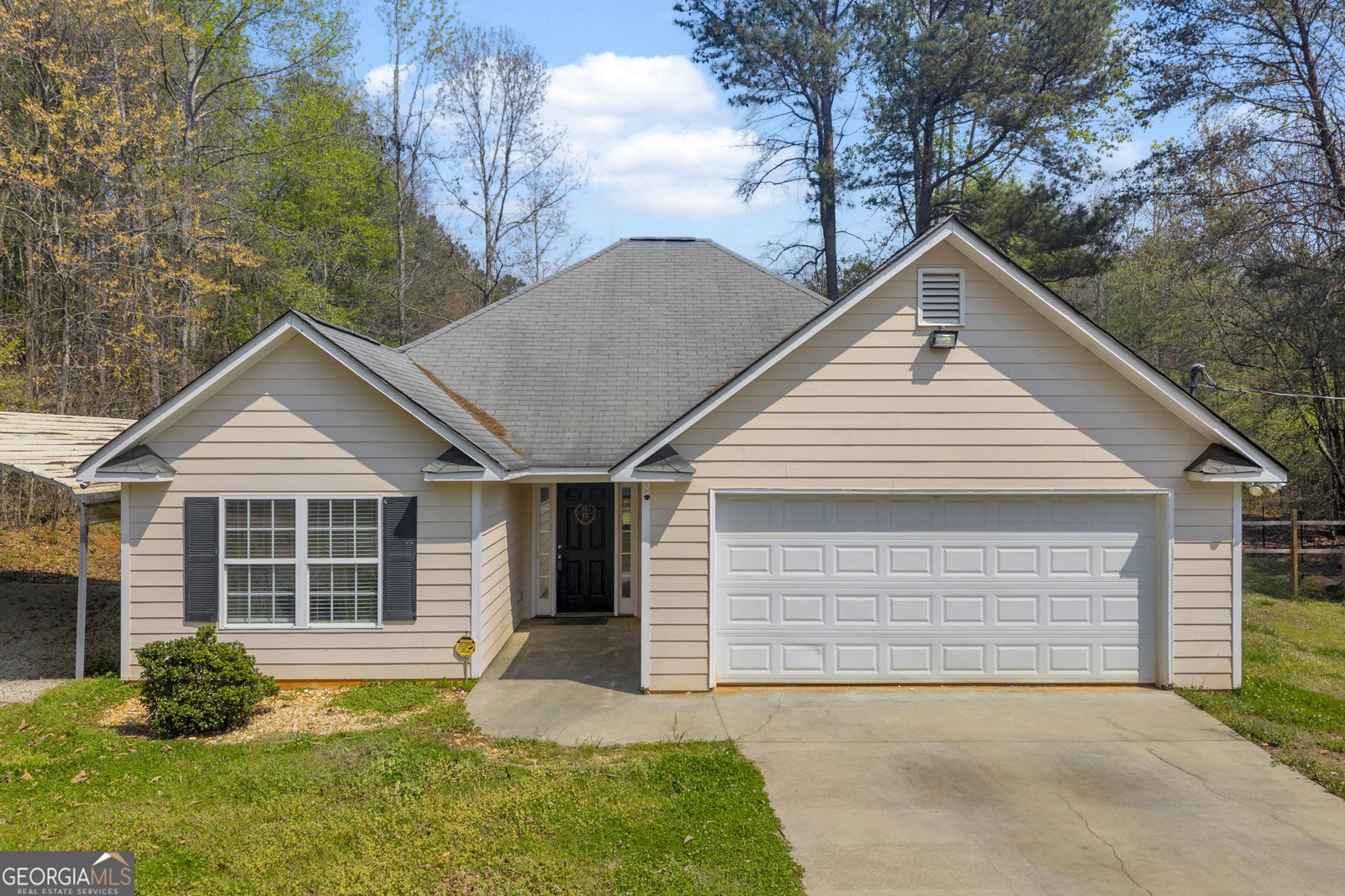 83 Poplar Springs Resort Road Lavonia - Photo 1