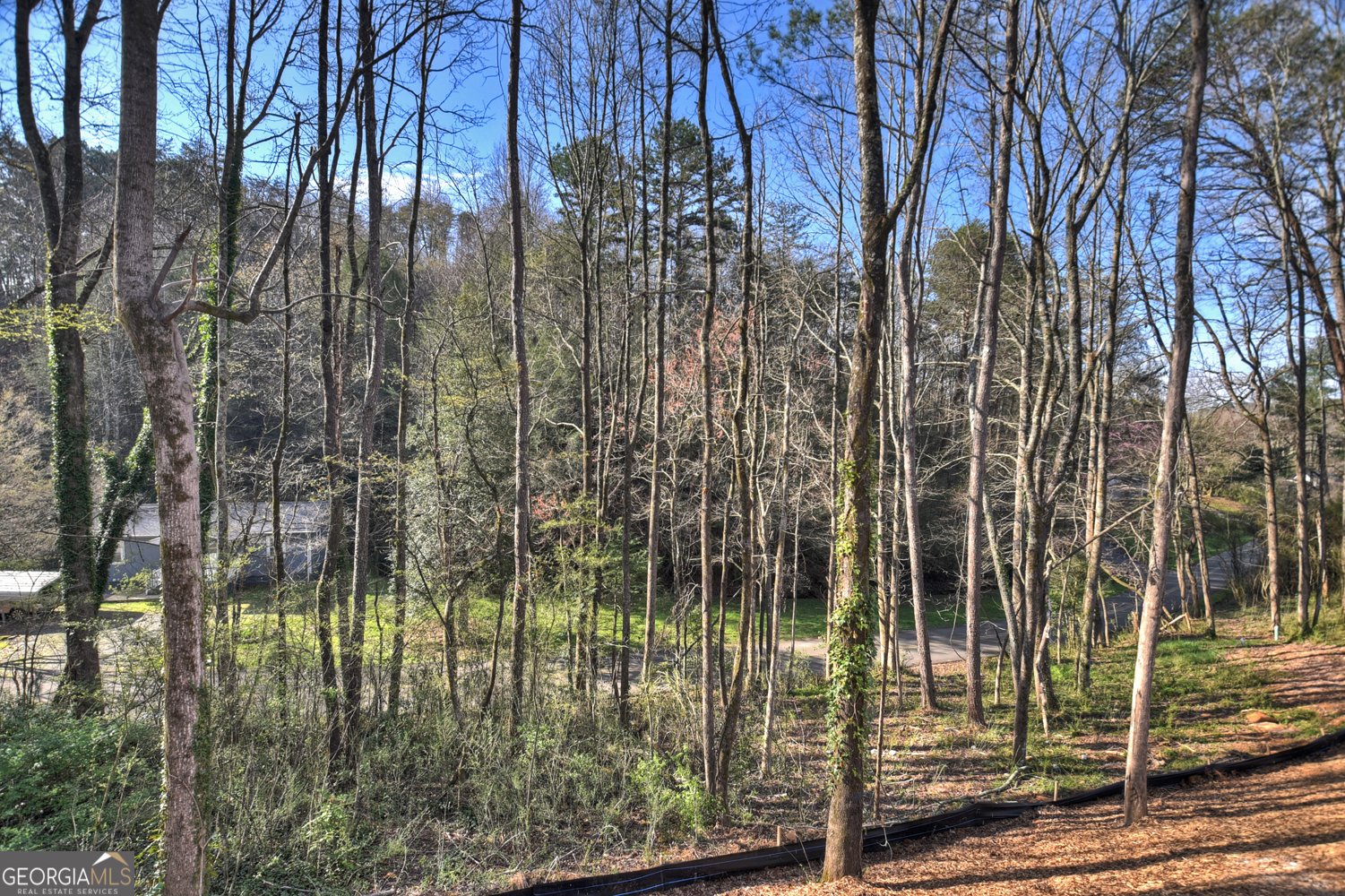 300 Mulberry Street East Ellijay - Photo 7