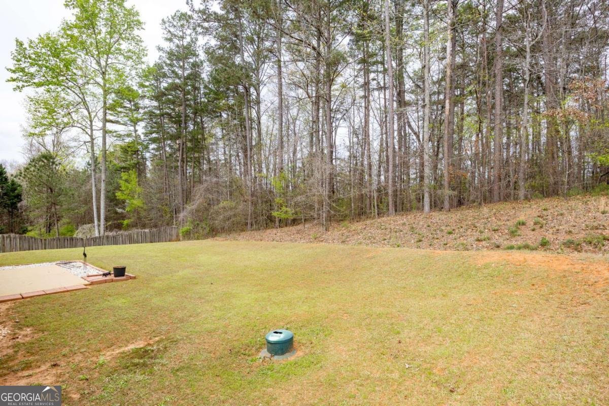 5017 Grist Mill Drive Villa Rica - Photo 28