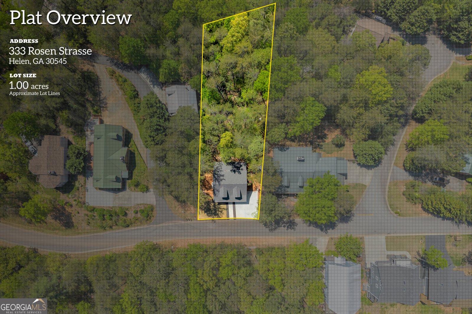 333 Rosen Strasse Helen - Photo 54