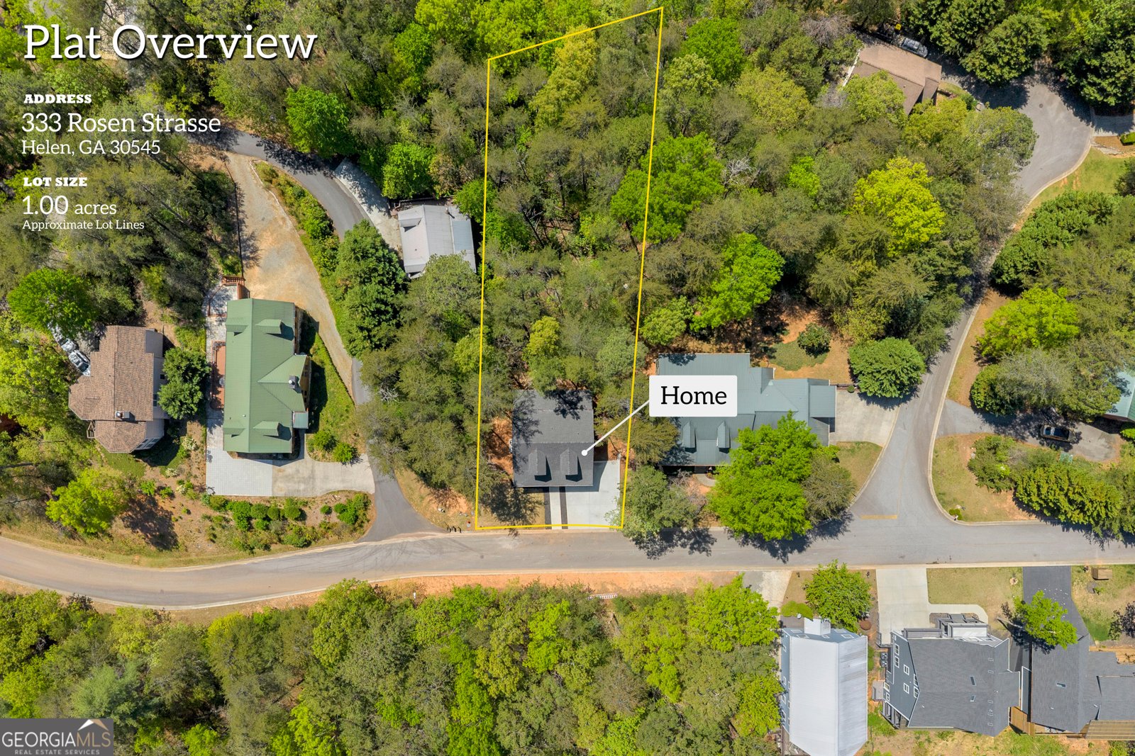 333 Rosen Strasse Helen - Photo 55