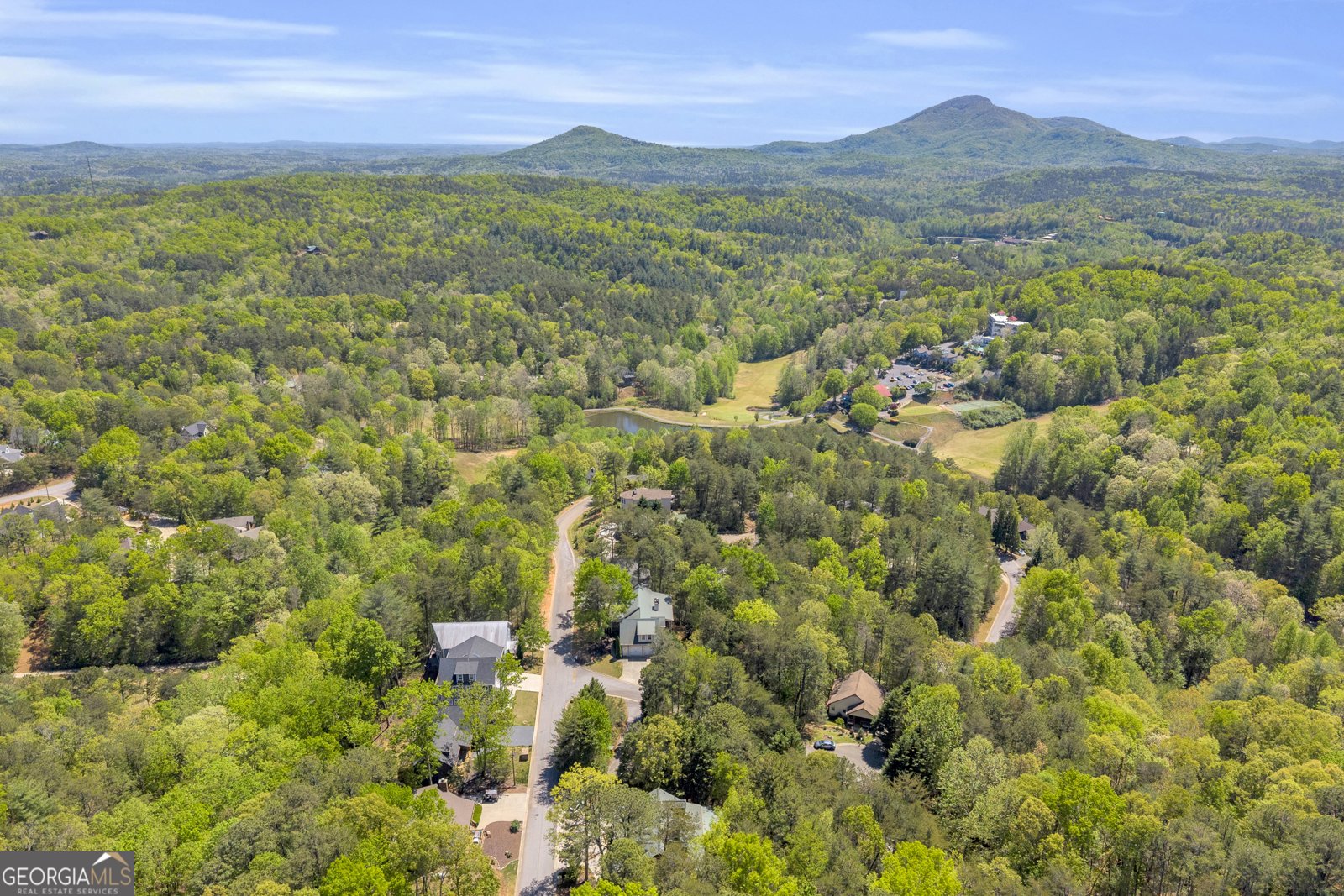 333 Rosen Strasse Helen - Photo 60