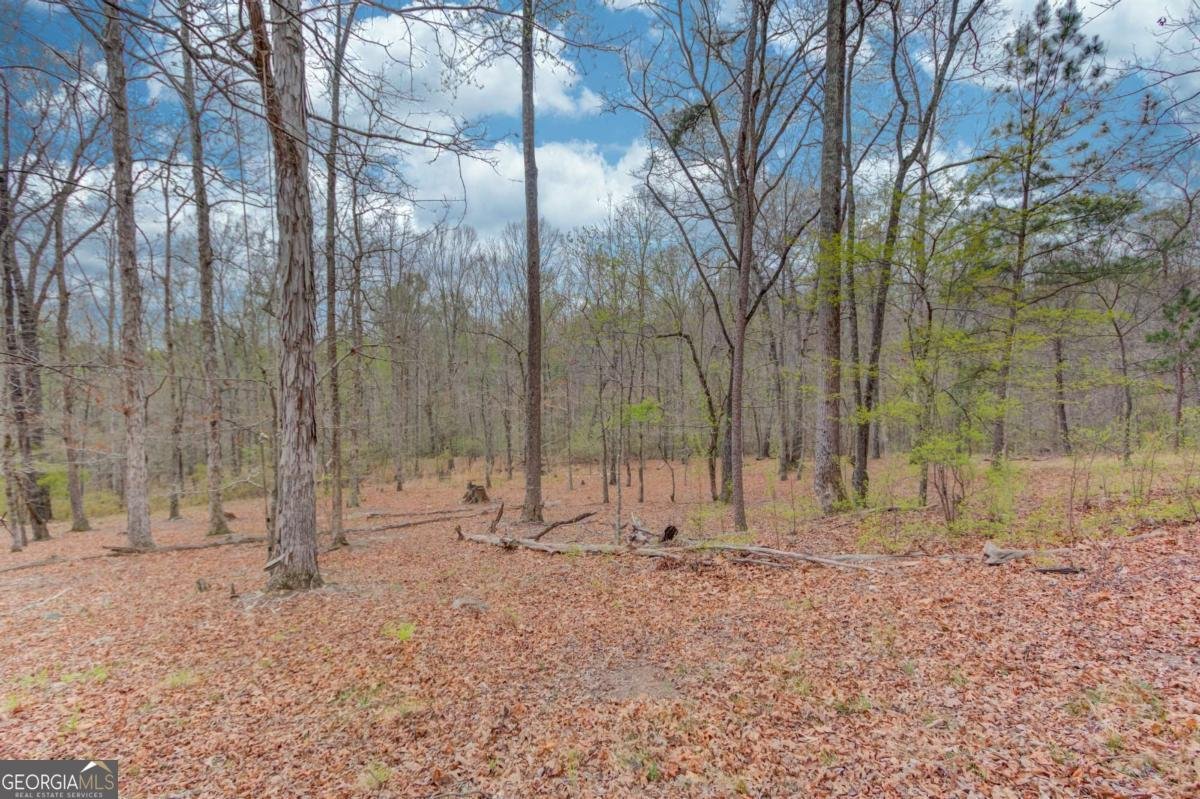 360 Mulberry Road Winder - Photo 40