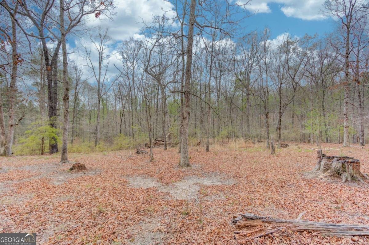 360 Mulberry Road Winder - Photo 41